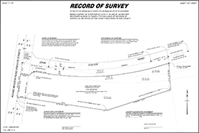 Record of Survey